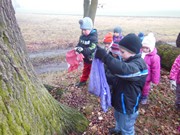 Výprava do lesa, krmení zvířátek